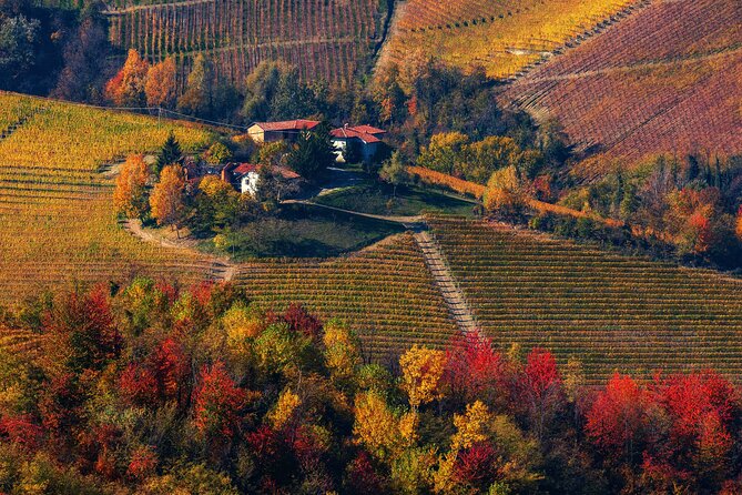 Small-Group Barolo Wine Tasting, Alba & UNESCO Piedmont Hills - What the guides add to a long day