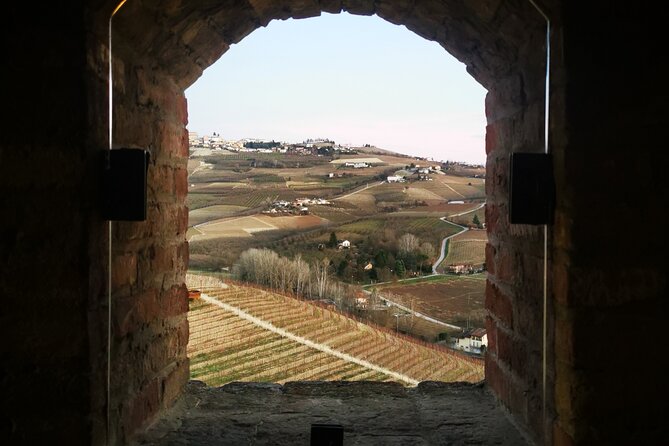 Small-Group Barolo Wine Tasting, Alba & UNESCO Piedmont Hills - Should you book the Barolo day trip?