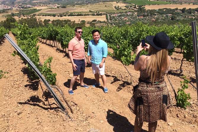 Small-Group Food and Wine Tour from Cagliari - Leaving Cagliari for the Parteolla vineyards