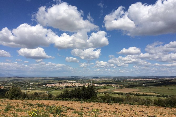 Small-Group Food and Wine Tour from Cagliari - A Sardinian table instead of a quick tasting