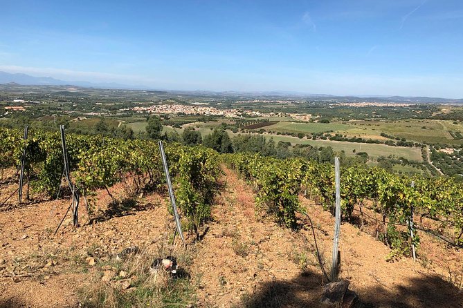 Small-Group Food and Wine Tour from Cagliari - A strong experience with one important caveat