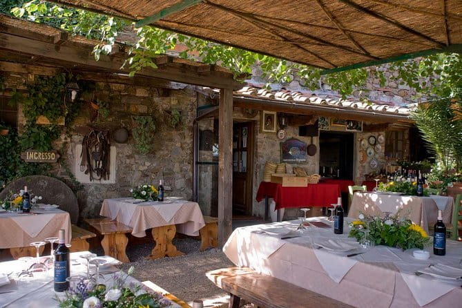 SMALL-GROUP Wine Safaris: Tuscan Wine Tasting Tours from Florence - What happens at the wineries