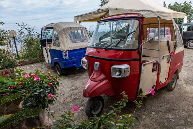 Sorrento Farm by Tuk Tuk: Cheese, Limoncello & Hands-On Pizza - Making pizza from flour to wood-fired crust
