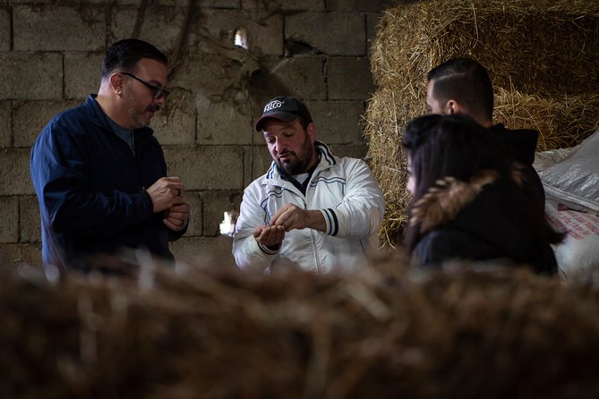 Sorrento Farm by Tuk Tuk: Cheese, Limoncello & Hands-On Pizza - Pickup, group size, and timing