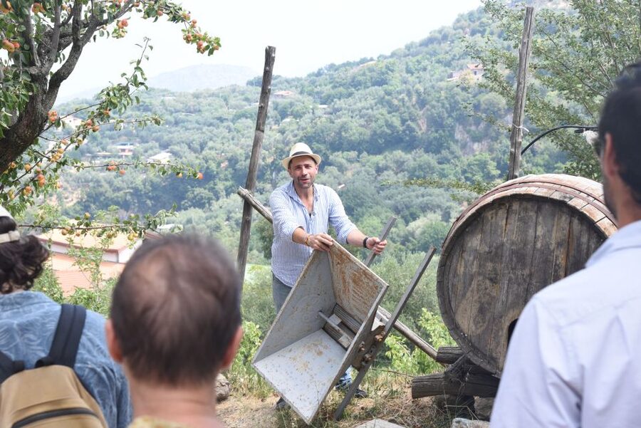 Sorrento: Farm Tour with Cheese Tasting & Pizza Making Class - Why Primaluce feels different from a standard cooking class