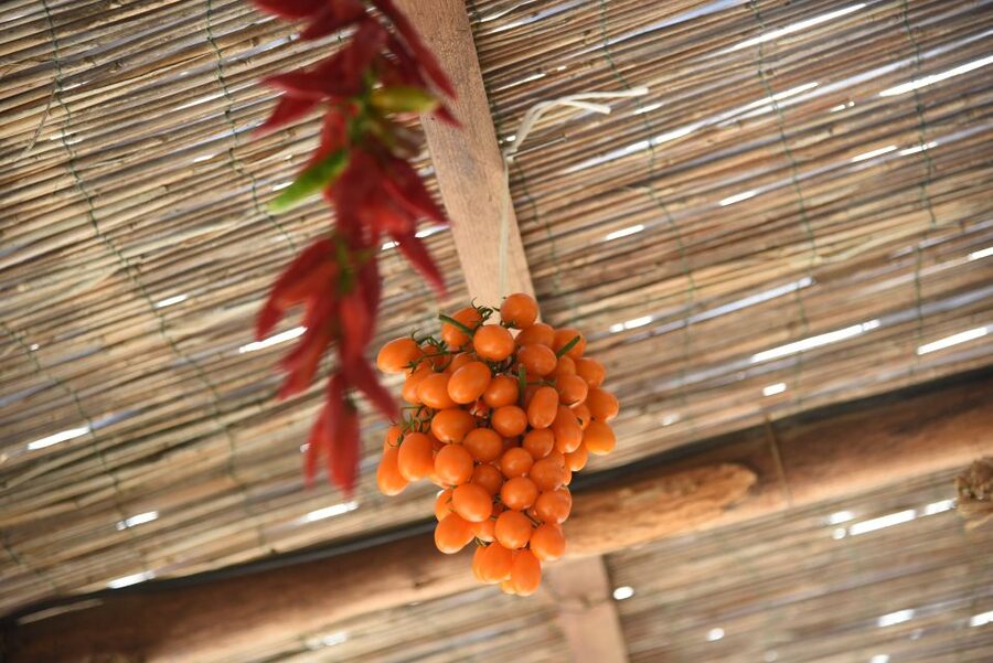 Sorrento: Pizza Lesson, Wine, and Limoncello at a Local Farm - Weather, comfort, and access