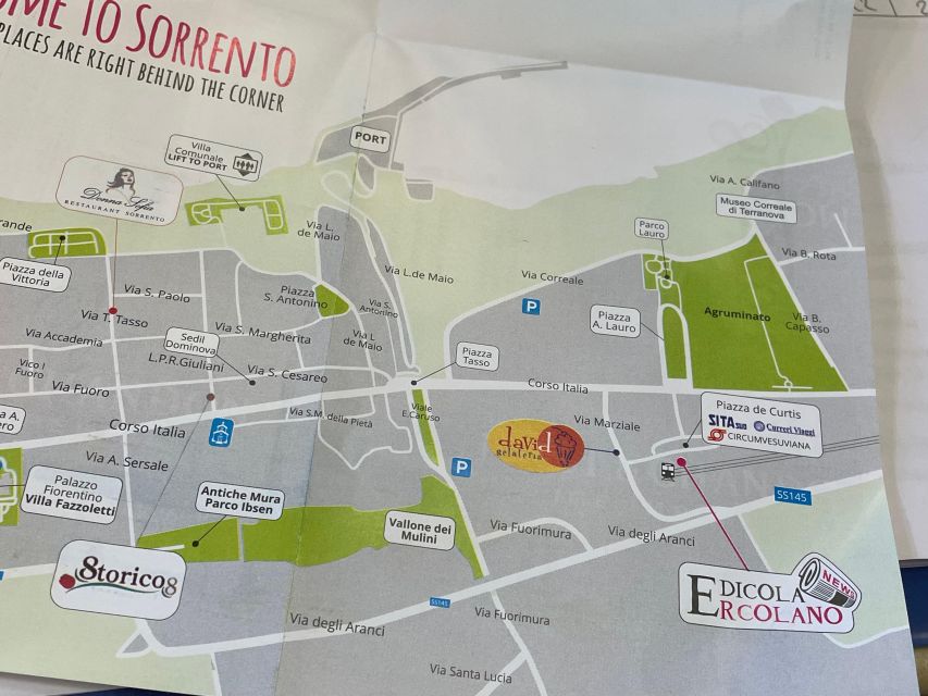 Sorrento: Skip-the-Line Pompeii Express Tour by Train - The 45-minute train ride to Pompeii
