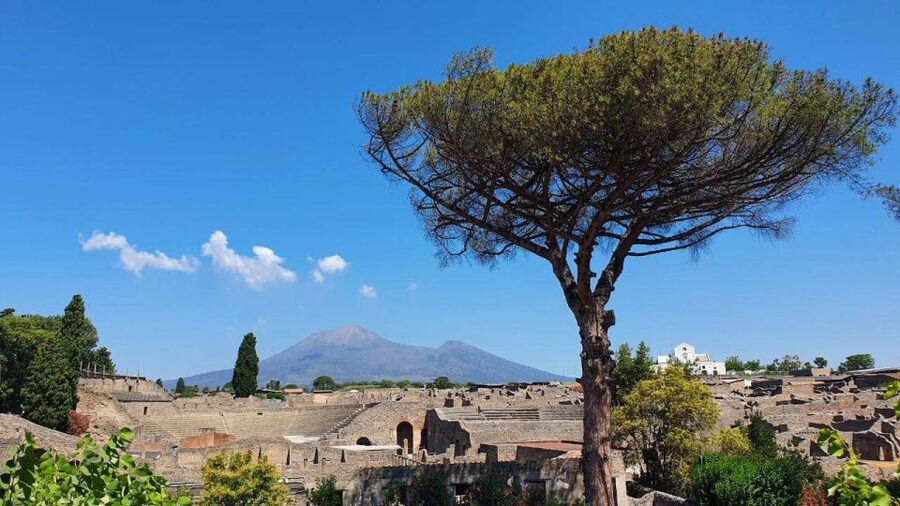Sorrento: Skip-the-Line Pompeii Express Tour by Train - Who will enjoy this Pompeii trip