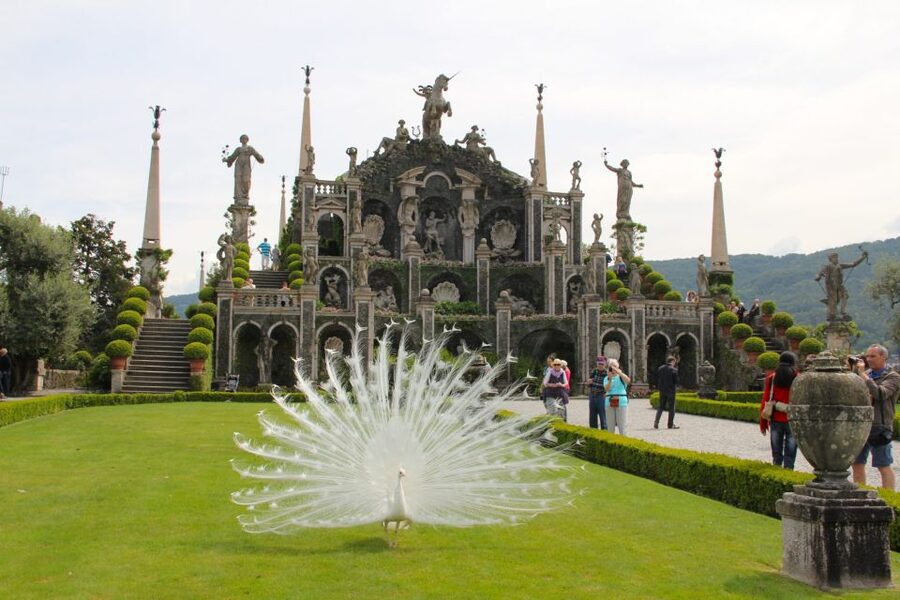 Stresa: 3 Borromean Islands Boat Tour - What to budget beyond the boat fare