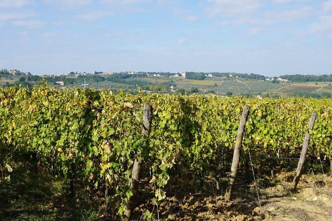 Super Chianti 2 wineries & meat feast @ Dario Cecchini—max 8 pp - Casa Erta and the working winery experience