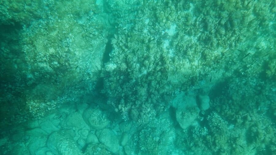 Syracuse: Coast and Sea Caves Full Transparent Boat Tour - Why the Crystal Boat feels different