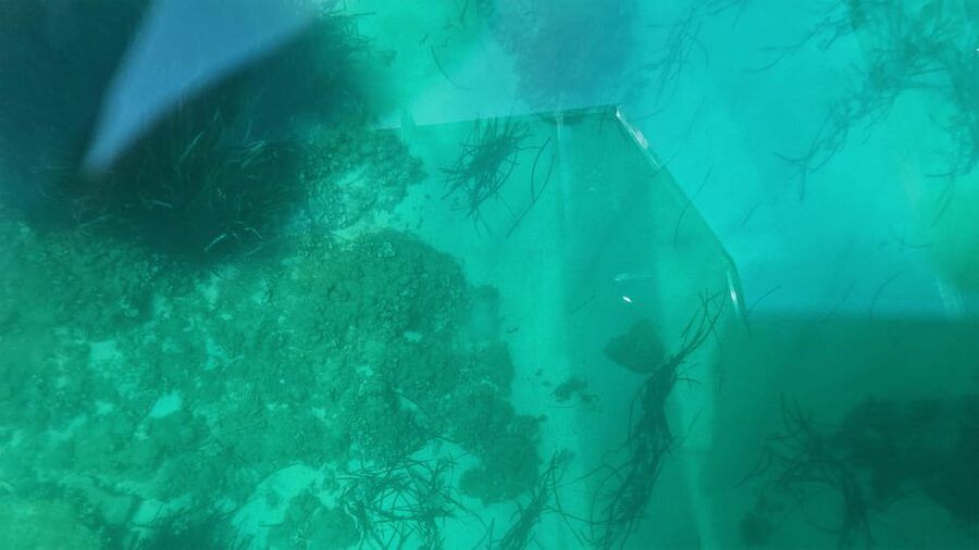 Syracuse: Coast and Sea Caves Full Transparent Boat Tour - A short tour with a clear price question