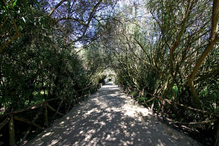 Syracuse: Neapolis Archaeological Park Small Group Tour - Grotta dei Cordari and the quarries underground