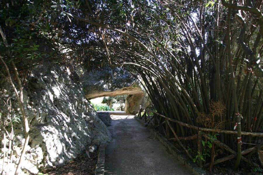Syracuse: Neapolis Archaeological Park Small Group Tour - Meeting at Largo Anfiteatro