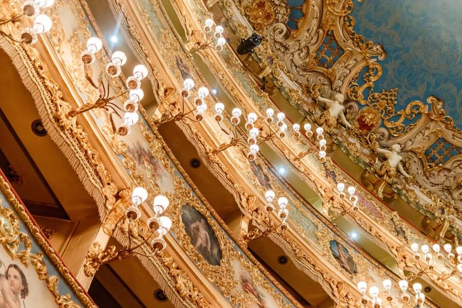 The Majestic Teatro La Fenice: Guided Tour in Venice - Practical tips for a smoother visit