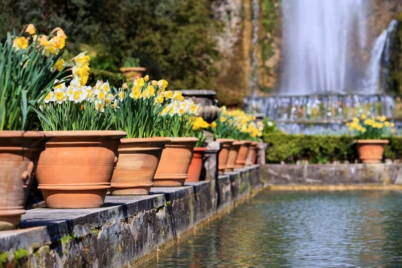 Tivoli: Villa D'Este Entry Ticket and App Audio Guide - The water-powered organ