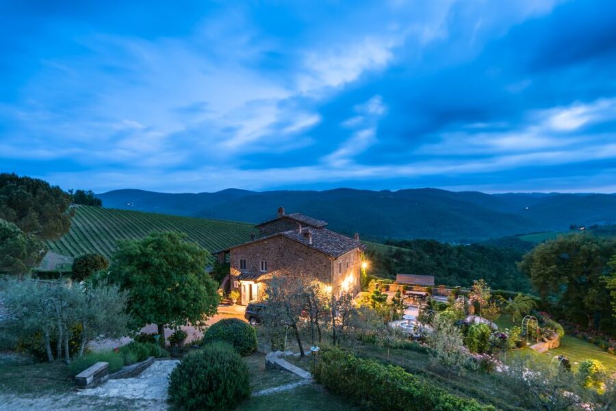 Total Immersion Wine Tour in Chianti - The tasting room and the five estate products