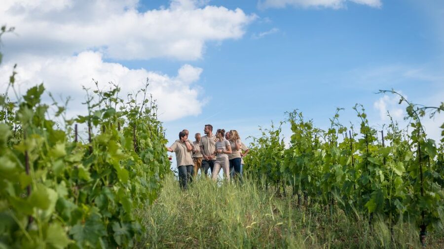 Total Immersion Wine Tour in Chianti - What the $47 price includes