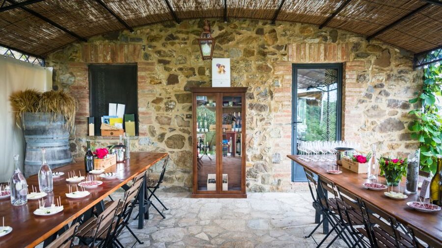 Total Immersion Wine Tour in Chianti - Who will enjoy this wine tour most