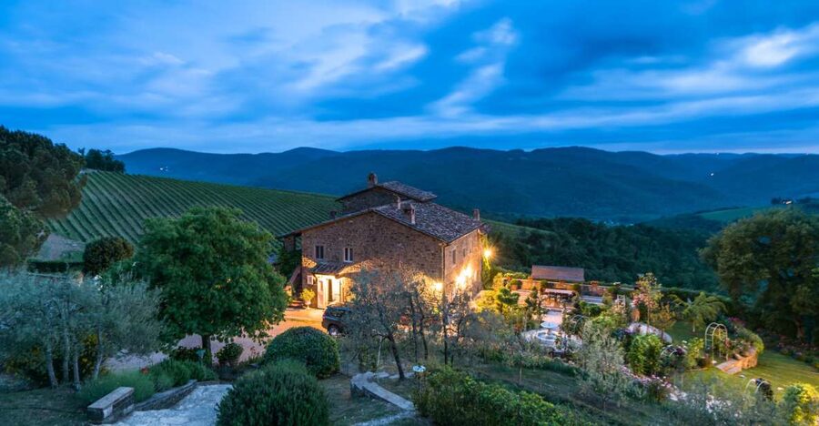 Total Immersion Wine Tour in Chianti - Inside the cellar, from harvest to aging
