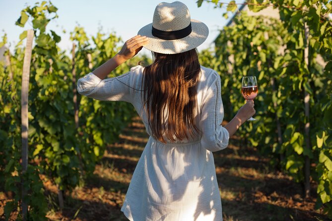 Tour Etna & Wine Tasting - Key points to know