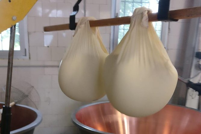 Tour Parmigiano Reggiano dairy and Parma ham - Guides, language, and the human side