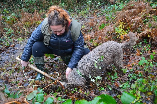 Truffle Hunting Experience with Lunch in San Miniato - A truffle hunt that is really three experiences