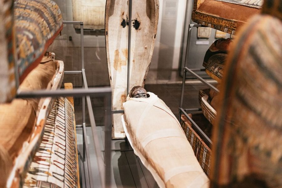 Turin: Egyptian Museum Priority Access Guided Tour - Is two hours enough?