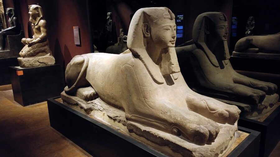 Turin: Guided Egyptian Museum Tour - The opening galleries and Egypt’s early periods
