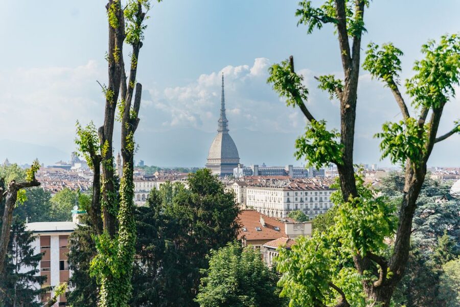 Turin: Hop-on Hop-off Bus Tour with 24 or 48-Hour Ticket - Start in Piazza Castello, Turin’s best orientation point