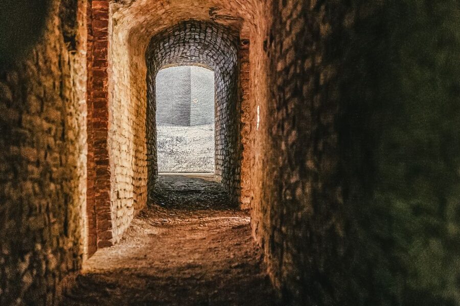 Turin: Underground Tunnels Guided Tour - Why the guide makes or breaks the visit
