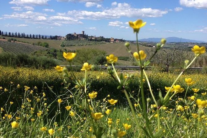 Tuscany Bike Tours Through the Chianti Hills with Wine Tasting - Arriving at the castle for wine and olive oil