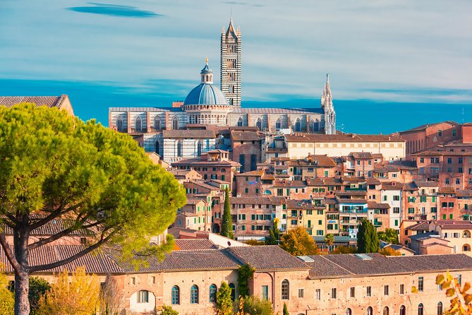 Tuscany: Day Trip to Pisa, Siena, San Gimignano, and Chianti - The Duomo of Siena and Piccolomini Library
