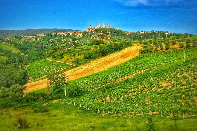 Tuscany Vespa Tour from Florence with Wine Tasting - Who will enjoy this most
