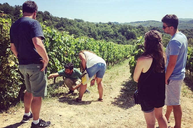 Tuscany Vespa Tours Through the Hills of Chianti - Families, couples, and first-time riders