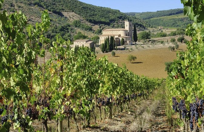 Val d'Orcia Brunello Wine Tour with Montalcino and Montepulciano - Key points to know before booking