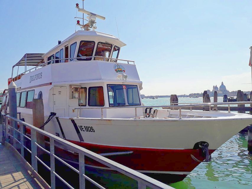 Venice: Murano & Burano Panoramic Boat Tour w/ Glassblowing - Murano: a close look at glassmaking