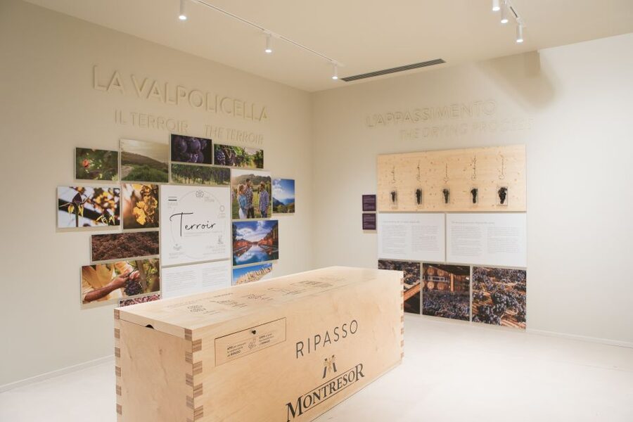 Verona: Montresor Winery Visit with Wine Tasting and Snacks - Understanding Valpolicella, Ripasso, and Amarone