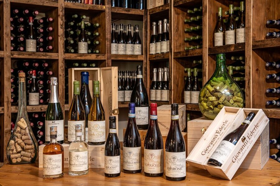 Verona: Wine Tasting with Snacks and Panoramic Views - Timing, transport, and the practical details