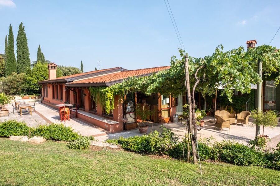 Verona: Wine Tasting with Snacks and Panoramic Views - My booking advice