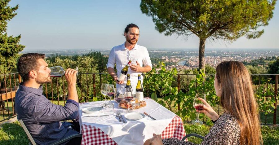 Verona: Wine Tasting with Snacks and Panoramic Views - Five Veneto wines, with Amarone at the finish
