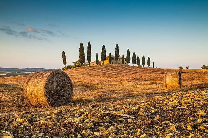 Walking Food Tour of Florence with Tastings and Wine - Dietary needs and comfort