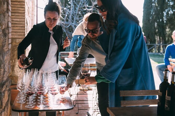 Wine Experience In Chianti Hills from Florence - The drive into the Chianti Hills