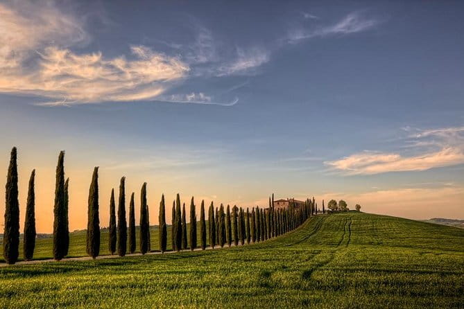 Wine Experience In Chianti Hills from Florence - First winery: vineyard rows, vinegar cellar, and Tuscan plates