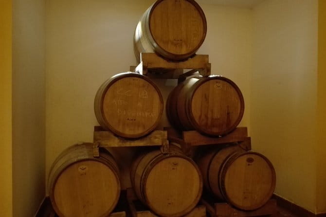 Wine Experience In Chianti Hills from Florence - Who will enjoy this tour most