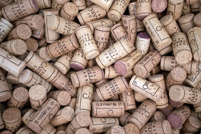 Wine tasting THE CLASSICS - Booking, cancellation, and practical details